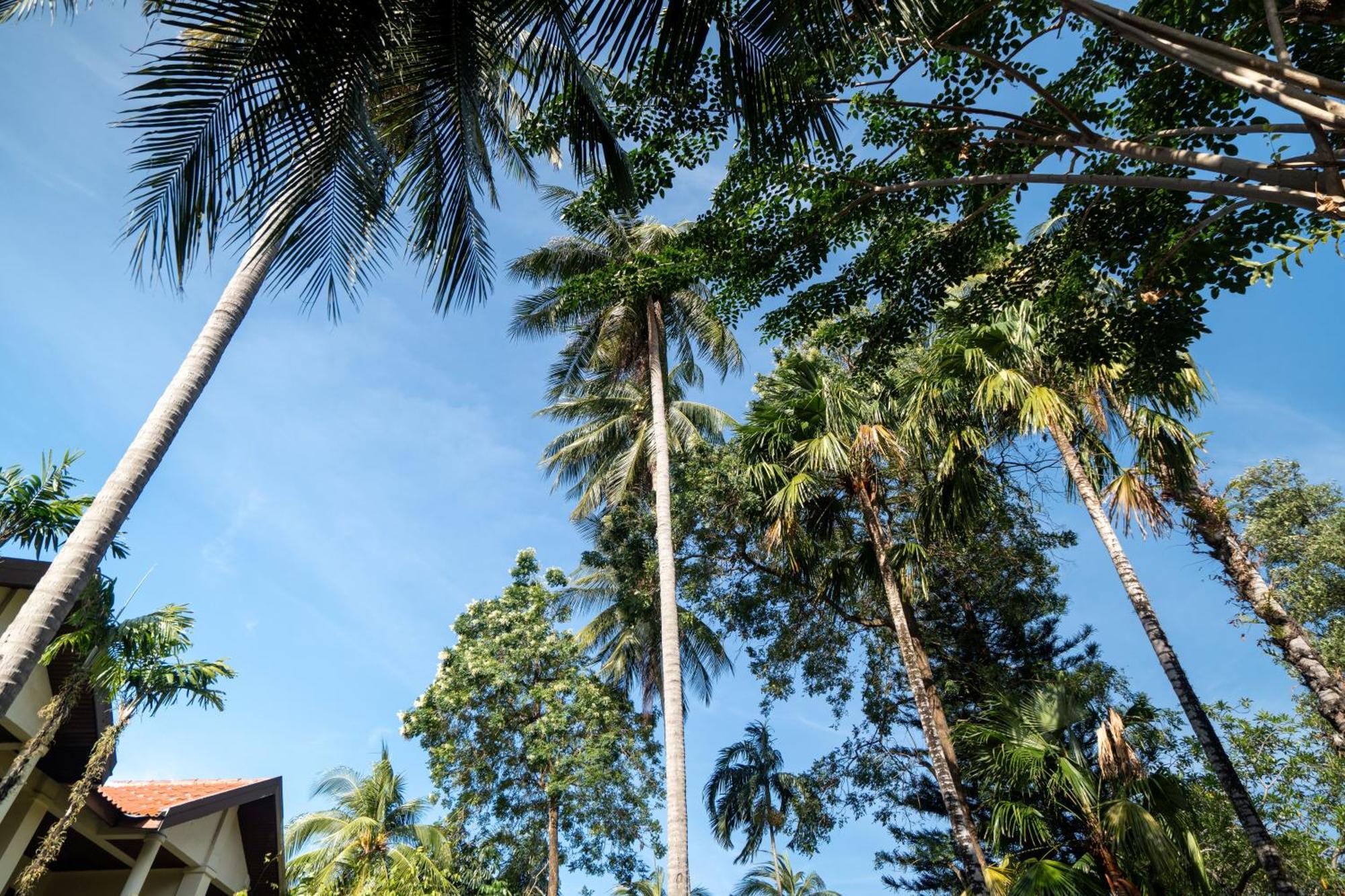 Phuket Leelavadee Hua Ting Resort Patong Екстер'єр фото